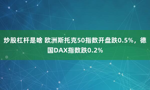 炒股杠杆是啥 欧洲斯托克50指数开盘跌0.5%，德国DAX指数跌0.2%
