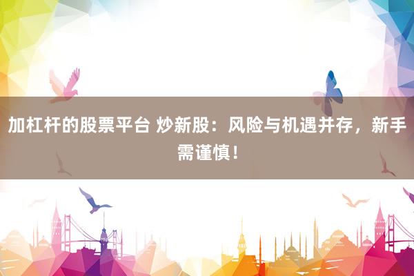 加杠杆的股票平台 炒新股：风险与机遇并存，新手需谨慎！