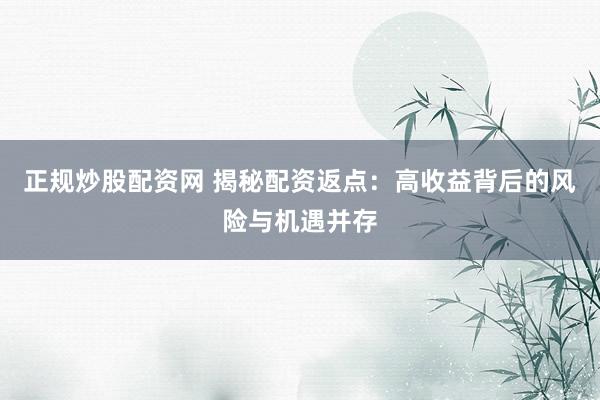 正规炒股配资网 揭秘配资返点：高收益背后的风险与机遇并存