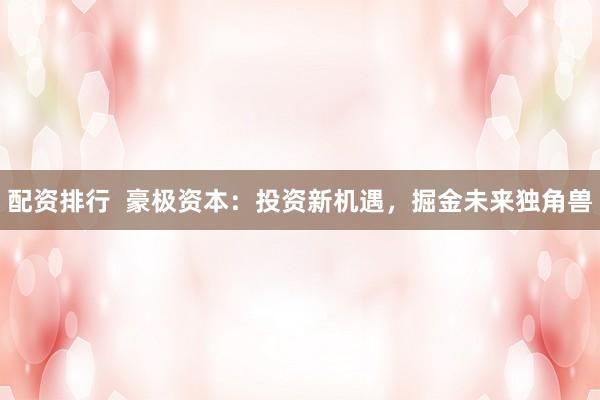 配资排行  豪极资本：投资新机遇，掘金未来独角兽