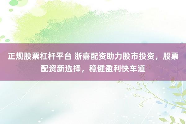 正规股票杠杆平台 浙嘉配资助力股市投资，股票配资新选择，稳健盈利快车道