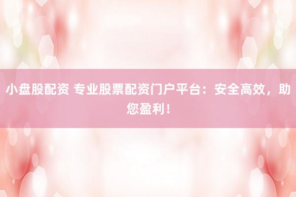小盘股配资 专业股票配资门户平台：安全高效，助您盈利！