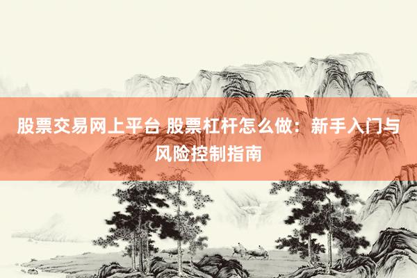 股票交易网上平台 股票杠杆怎么做：新手入门与风险控制指南