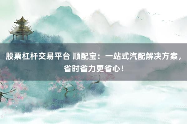 股票杠杆交易平台 顺配宝：一站式汽配解决方案，省时省力更省心！