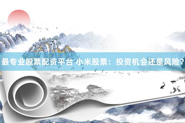 最专业股票配资平台 小米股票：投资机会还是风险？