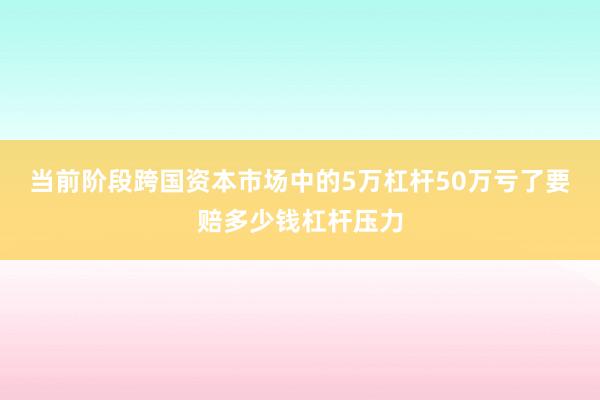 当前阶段跨国资本市场中的5万杠杆50万亏了要赔多少钱杠杆压力