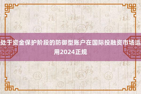 处于资金保护阶段的防御型账户在国际投融资市场运用2024正规