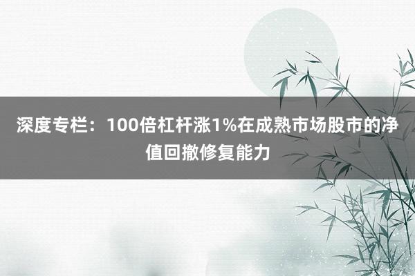深度专栏：100倍杠杆涨1%在成熟市场股市的净值回撤修复能力
