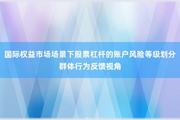 国际权益市场场景下股票杠杆的账户风险等级划分群体行为反馈视角