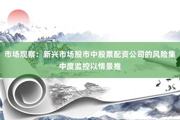 市场观察：新兴市场股市中股票配资公司的风险集中度监控以情景推