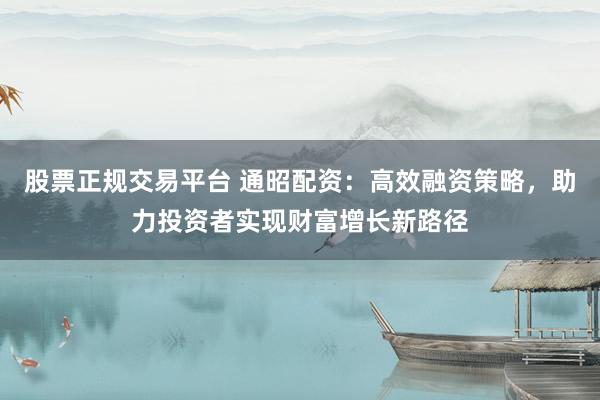 股票正规交易平台 通昭配资：高效融资策略，助力投资者实现财富增长新路径
