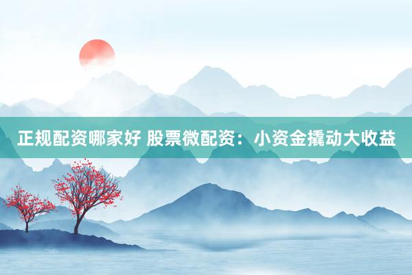 正规配资哪家好 股票微配资：小资金撬动大收益