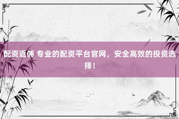 配资返佣 专业的配资平台官网，安全高效的投资选择！