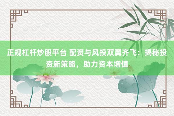 正规杠杆炒股平台 配资与风投双翼齐飞:揭秘投资新策略,助力资本增值