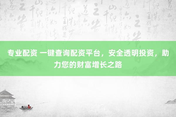 专业配资 一键查询配资平台,安全透明投资,助力您的财富增长之路